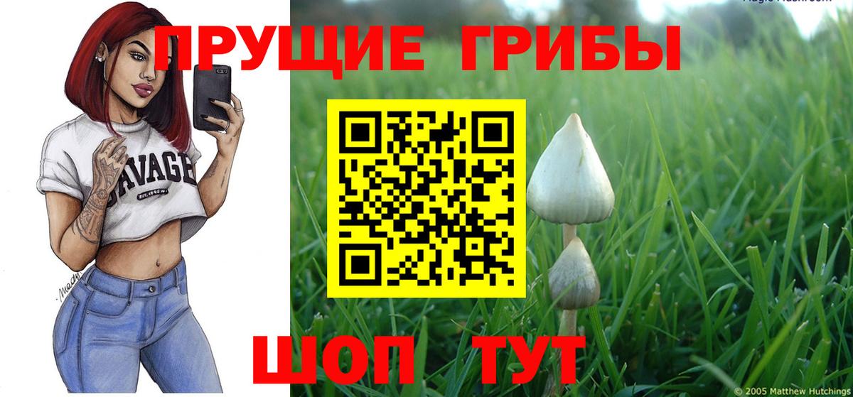 Нерюнгри  как найти наркотики  Псилоцибиновые грибы Cubensis  Вход с VPN  Галлюциногенные грибы Psilocybine cubensis 