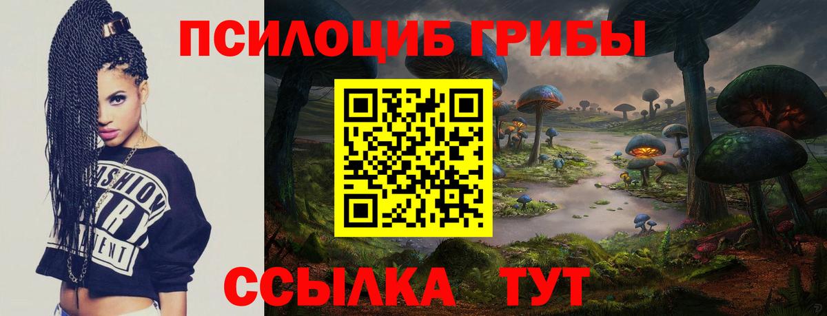 Псилоцибиновые грибы Cubensis Нерюнгри